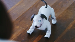 Sony announces return of Aibo, the robotic dog companion
