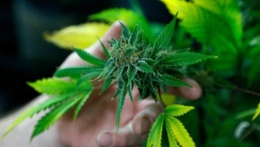 California churches selling tax-free weed eyed for shutdown by city officials