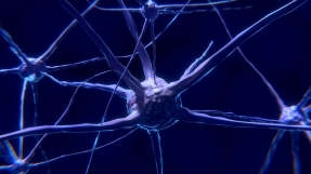 Alzheimer's cure news 2018: Scientists successfully reverse Alzheimer's in mice by blocking  specific enzyme, treatment could lead to effective treatment in humans