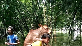 Churches deliver emergency food to families caught up in Bangladesh floods