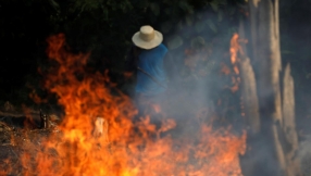 South American Church leaders call for 'zero deforestation' following Amazon fires