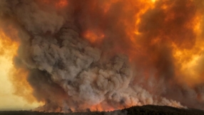 Archbishop of Sydney appeals for prayer after weeks of devastating fires in Australia