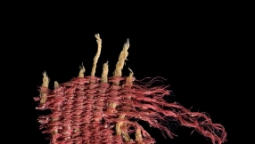 Archaeologists find evidence of red dye mentioned 25 times in Bible