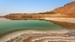 From deserts to gardens: how faith communities are healing the land in the Middle East