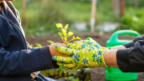 Cultivating the fruits of the Spirit: gentleness that reflects God’s strength