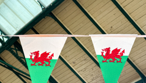 The story of St David’s Day