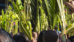 The backstory to Palm Sunday most evangelicals miss