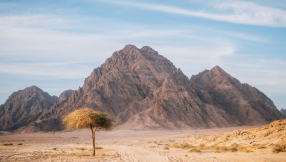 Why did the Lord speak to Moses in the desert?