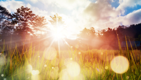 What are the fruits of the Holy Spirit?