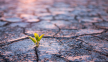 Life beyond burnout: how Christians can grow in the desert seasons