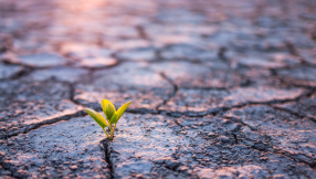 Life beyond burnout: how Christians can grow in the desert seasons