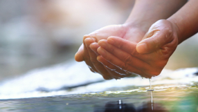 What a heatwave can teach us about our deepest thirst