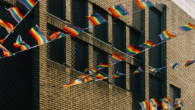Conversion therapy ban would privilege 'one contested therapeutic philosophy'