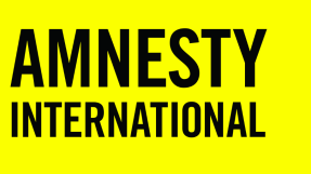 Amnesty apologises for report that branded dozens of Christian organisations 'anti-rights'