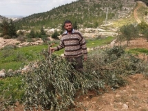 From the occupied Palestinian territories to the European Union