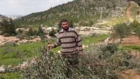 From the occupied Palestinian territories to the European Union