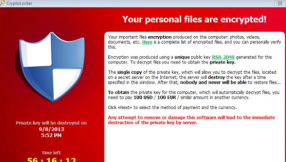 Crypto Locker virus: hackers demand $100 to decrypt files within 100 hours