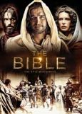 The Bible TV series premiere a \'great success\'