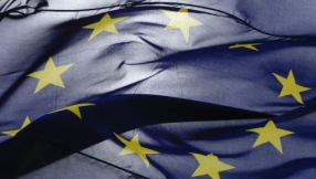 European court to rule on status of human embryos