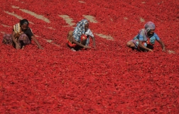 Christians more optimistic about end to global poverty