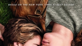 The Fault in our Stars: Shailene Woodley not dating another actor?