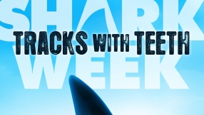 Shark Week 2014: \'Megaladon\' another fake documentary?