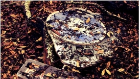 \'Jurassic Park 4\' release date, movie plot rumors: What is the mysterious object in original film?