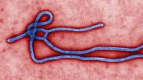 Nina Pham update: Boyfriend shows symptoms? Ebola-infected nurse in \'fair, stable condition\'