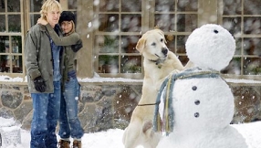 \'Marley & Me\' TV sequel news: NBC\'s take on John Grogan\'s best-selling book on family, relationships and special pets