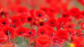 Krish Kandiah: The power of remembrance
