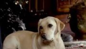 \'Downton Abbey\' season 6 premiere date in 2015; Dog Isis\' imminent death not due to terrorist group name association