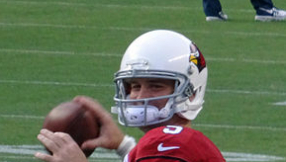 Arizona Cardinals vs. Carolina Panthers preview: No Stanton against the Panthers