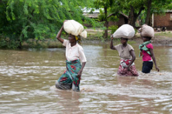 Emergency aid on its way to flood-hit Malawi; evacuation underway