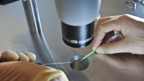 MPs vote yes to \'three-parent babies\'