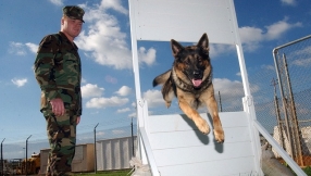 K9 dog receives touching final salute before he was euthanized