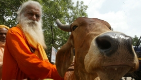 Protect people, not just cows, says India\'s senior Catholic bishop 