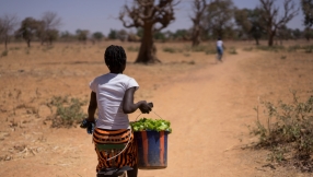5 unremarkable things that stop people dying from hunger