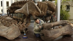 Can Christians believe in dinosaurs?