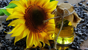 How to live longer? Healthy fats from plants and fish can result in more years, study says