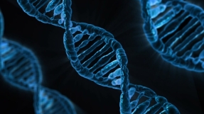 Genetic alterations of human embryos news: NIH bans research funding