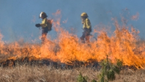 Wildfire smoke triggers heart problems, study says
