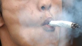 Marijuana is good for the bones - new study