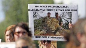 Lion\'s death seen drawing more outrage in US than the killing of blacks by the police 