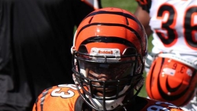 Cincinnati Bengals NFL 2015 news: Returning Michael Johnson suffers MCL sprain in training camp