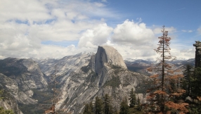 Plague: Child who contracted plague from Yosemite National Park being investigated by health officials