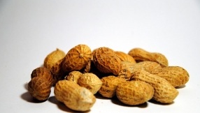 Peanut allergy risk may be reduced through early exposure to peanuts, says new study