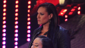 Former WWE Divas champion AJ Lee focuses on animal cause