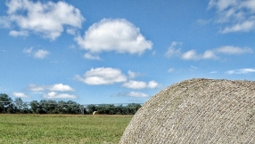 Farm dust appears to offer protection against allergies and asthma
