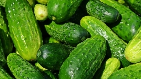Salmonella cases linked to 27-state outbreak