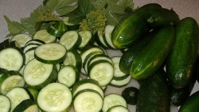 Salmonella outbreak latest news: cucumber recall extends to Canada